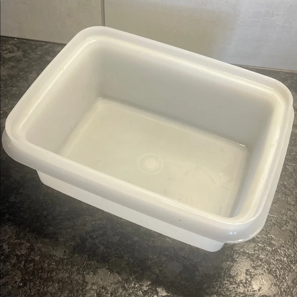 Vintage Tupperware ice cream container This is like brand new. Storage container